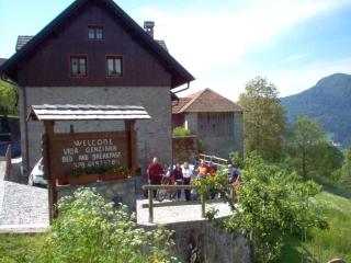 Villa Genziana - Ovaro - 5