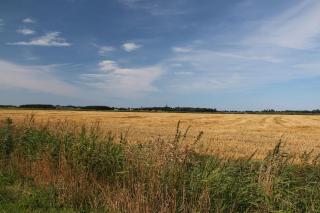 De Horizon, slapen in hutten - Kloosterburen - 4