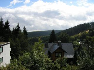 First Class Residence - Winterberg - 5