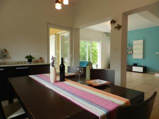 Dee's House and Pool - Labin - 5