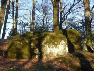 La Bouriotte Chambre d'hôtes Bouton D'Or - 6