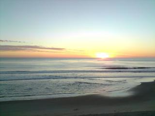 Surfers Horizons - 5