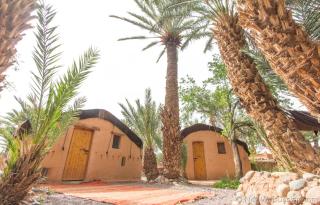 Ecolodge La Palmeraie - Ouarzazate - 6