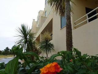 Apartment Salgados T1 - Guia - 9