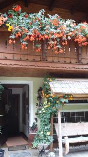 Haus Grundner - Großsölk - 8