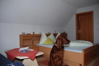 Appartement Grundner - Großsölk - 4
