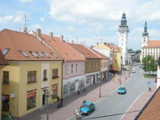 Penzion Chalupa U Městské brány - Vyškov - 9