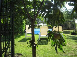 Villa Triton - Pula - 5