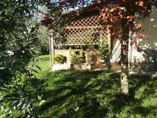 Il Giardino degli Ulivi - Rapolano Terme - 3