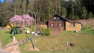 Gîte Bien-Etre - Walscheid - 0