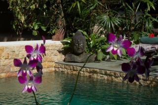 Taman Rahasia Tropical Sanctuary and Spa - Ubud - 4