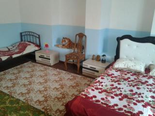 Apartment near Baku airport - Baku - 4