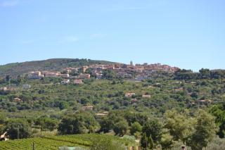 Appartamenti Gli Alberi - Capoliveri - 5
