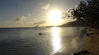 Palm'Studio Anse de Caritan - Sainte-Anne - 5