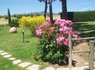 Capracotta - Montemassi - 5