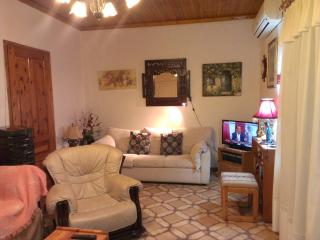 House for summer hollidays - Mikros Gialos - 3