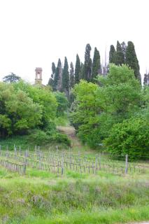 Casa Rolu - Ciggiano - 5