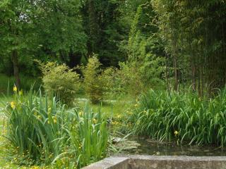Le Moulin de Monternault - 6