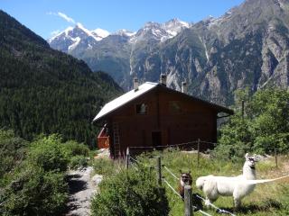 Panorama - lovely place in nature - Gasenried - 9