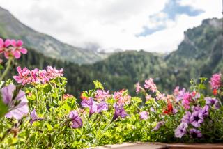Vierjahreszeiten - Hintertux - 5