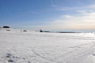 Pension Silberdistel - 3