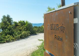 Avaton Farm - Ouranoupoli - 9