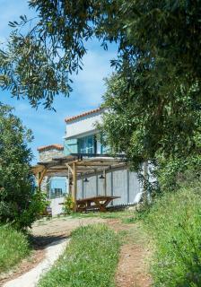 Avaton Farm - Ouranoupoli - 0
