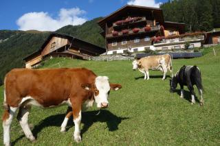 Wachtlerhof - Matrei in Osttirol - 9