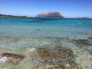 Casa Vacanze Cugusi - Budoni - 0