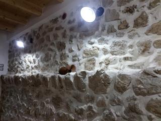 La finestra sul lago - 6