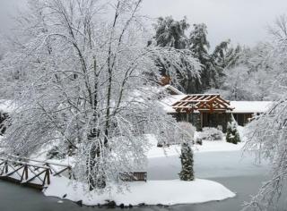 Village Inn - Blowing Rock - Blowing Rock - 4