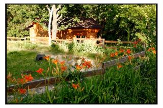 Ferme La Viste - 4