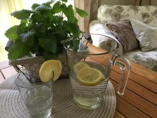 SEASIDE APARTMENTS - SANDY GOLD - 4