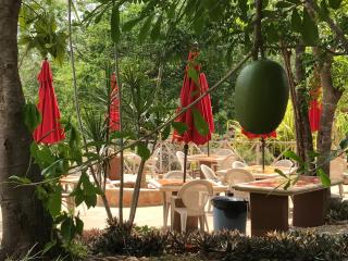 The Pickled Onion B&B and Restaurant Uxmal - Santa Elena - 8