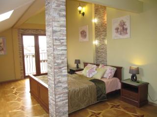 3-bedroom jacuzzi apartment - Lviv - 7