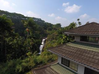 The Inn at Kulaniapia Falls - Hilo - 3
