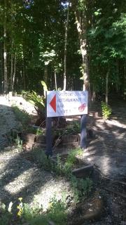 Evis Resort at Nggatirana Island - 4