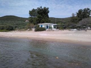 House Kokkalas on the beach - Pyrgadikia - 1