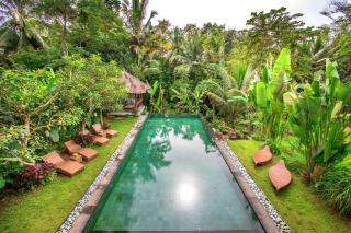Villa Viola - Ubud - 0