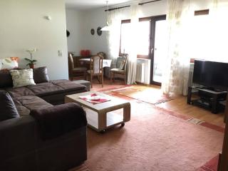 Ferienwohnung am Titisee - Titisee-Neustadt - 3