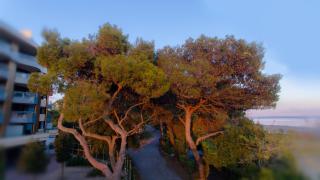 Campeggio Al Bosco - Grado - 5