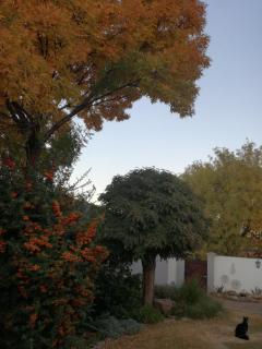 DeKat Self Catering - Burgersdorp - 5