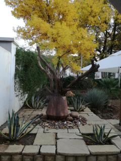 DeKat Self Catering - Burgersdorp - 4
