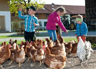 Berghof Heger - Peißenberg - 8
