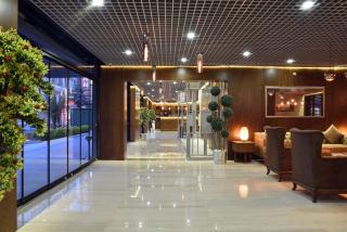 The Elegant Hotel - 7