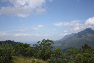 Ella Repose - 2
