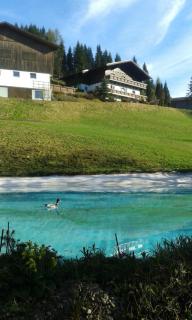 Pension Chalet Bergseegut - Wagrain - 5