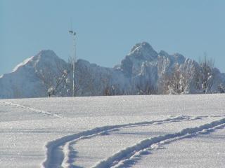 Beim Hanslbauer - Reit im Winkl - 6