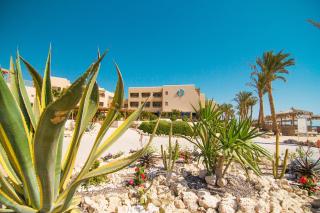 The Breakers Diving and Surfing Lodge Soma Bay - Hurghada - 9