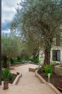 Apartmani Ksenija - Petrovac na Moru - 9